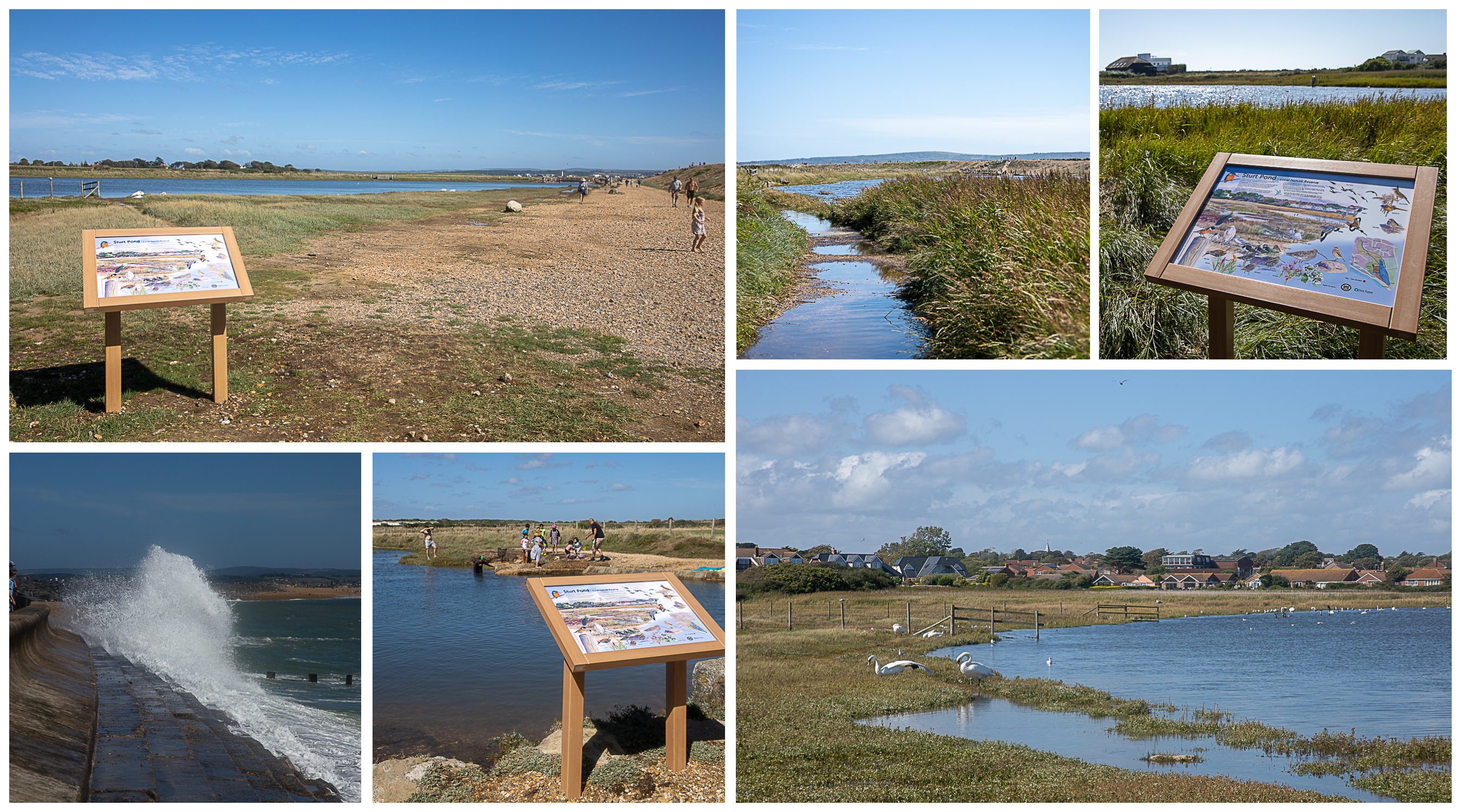 A walk around Sturt Pond and Milford on Sea where there is a changing places facility in the village car park.