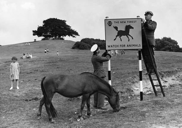 New AA road signs in Lyndhurst, New Forest, go up in 1955. "BEHIND YOU!"
Creator: Unknown.