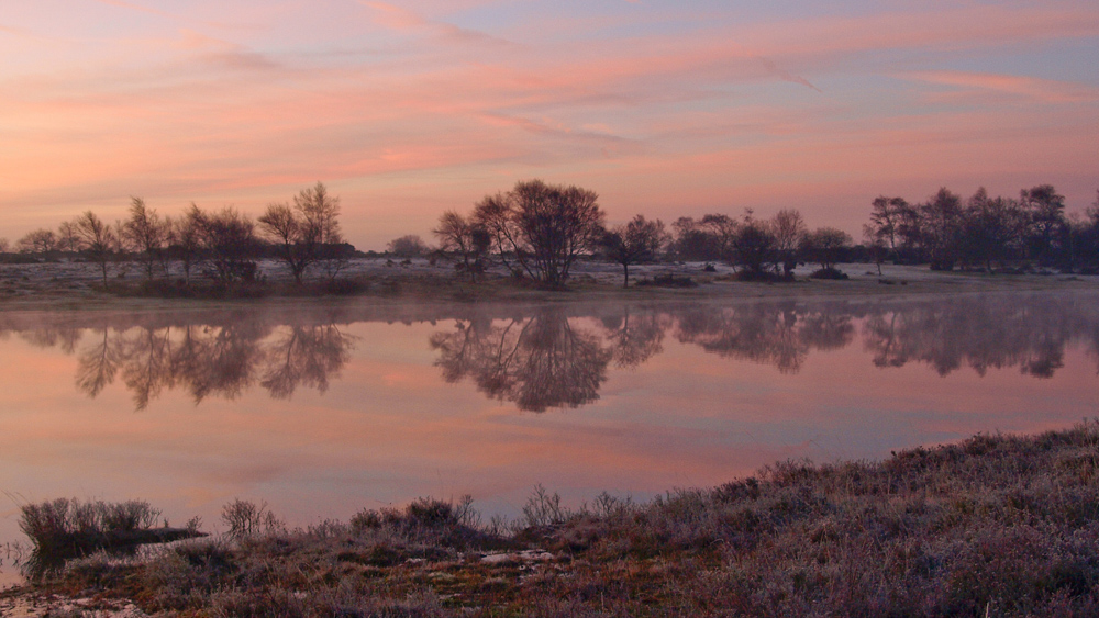 Hatchet Pond