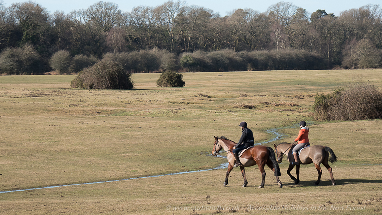 Horse Riding