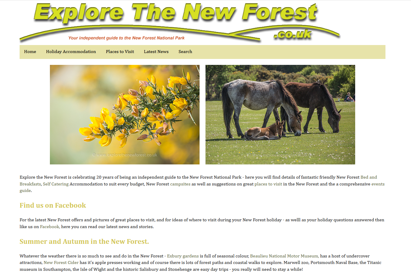 Explore the New Forest website in 2018 celebrating 20 years online