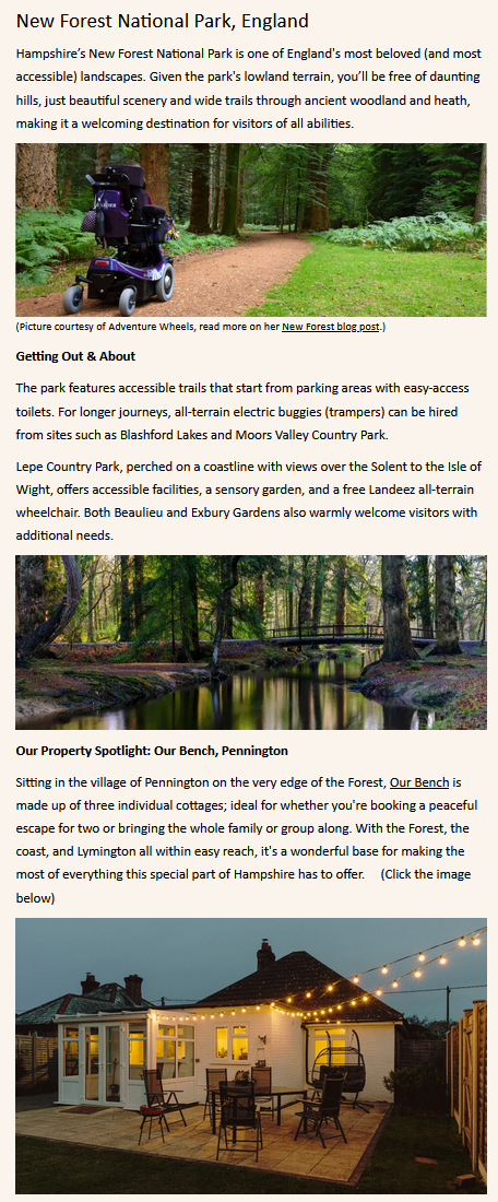The world is accessible New Forest snippet
