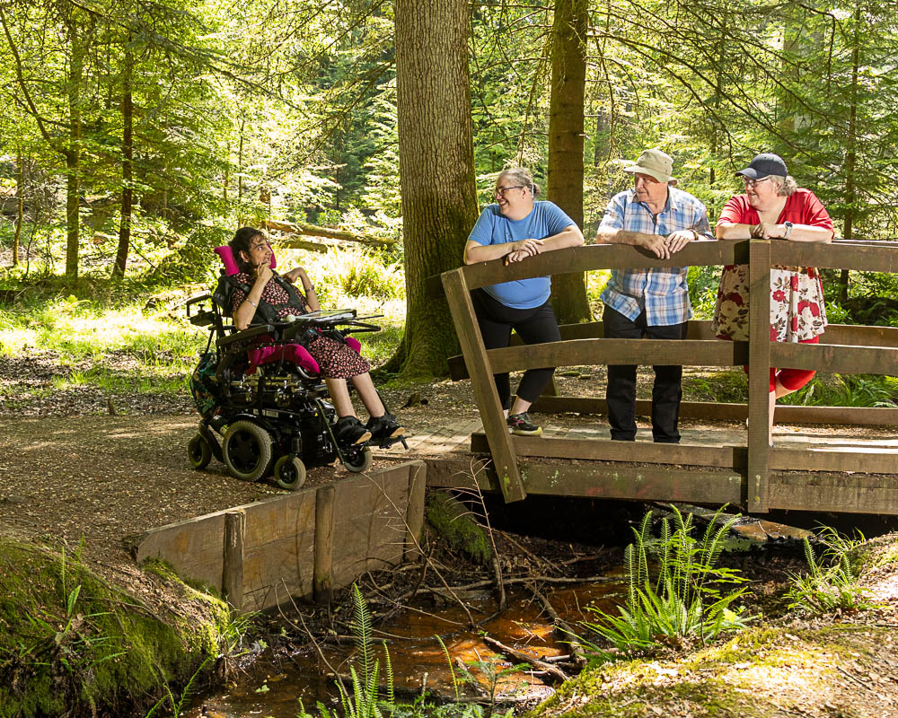 wheelchair user in the New Forest
