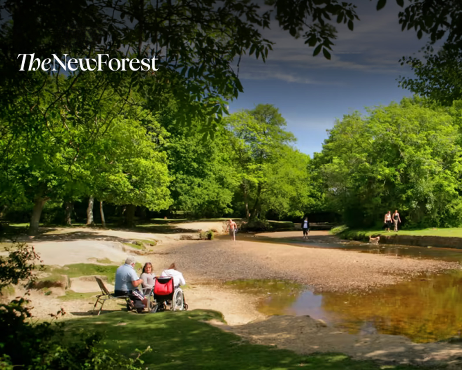Wheelchair user by Balmer Lawn in Brockenhurst, enjoying an accessible New Forest holiday