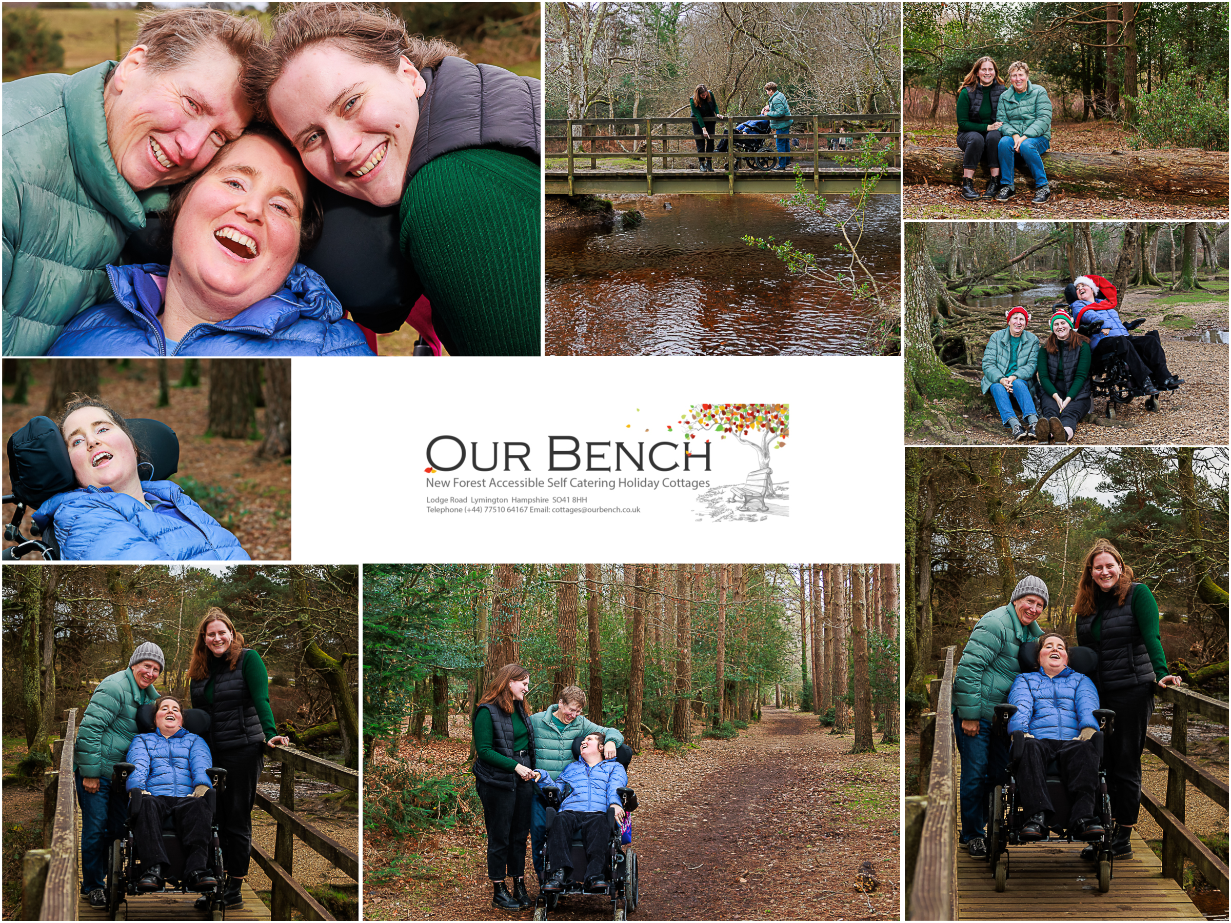 Christmas in the New Forest with therapy