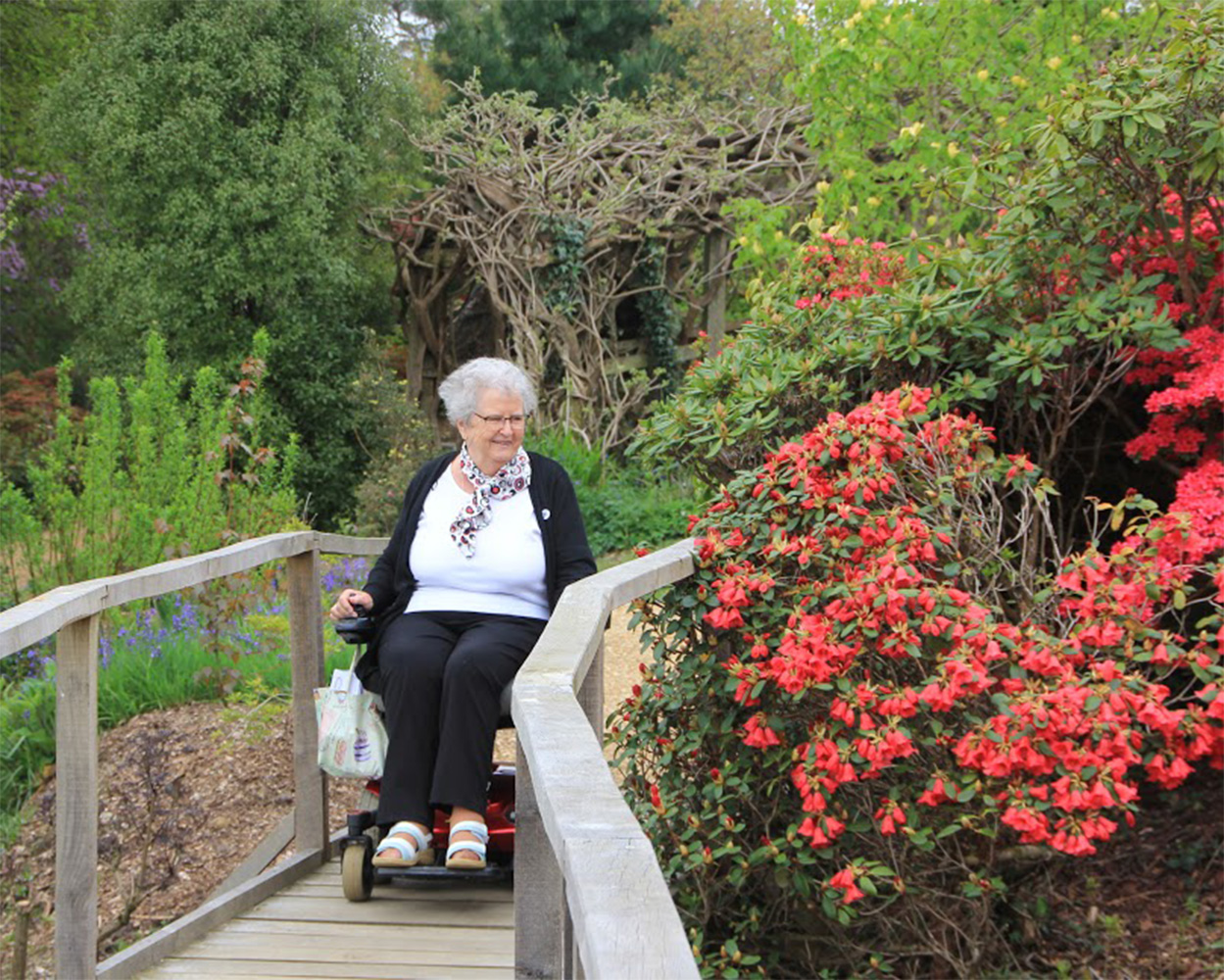 Powerchair user in gardens