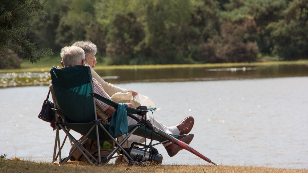 Dragonflies at Hatchet Moor