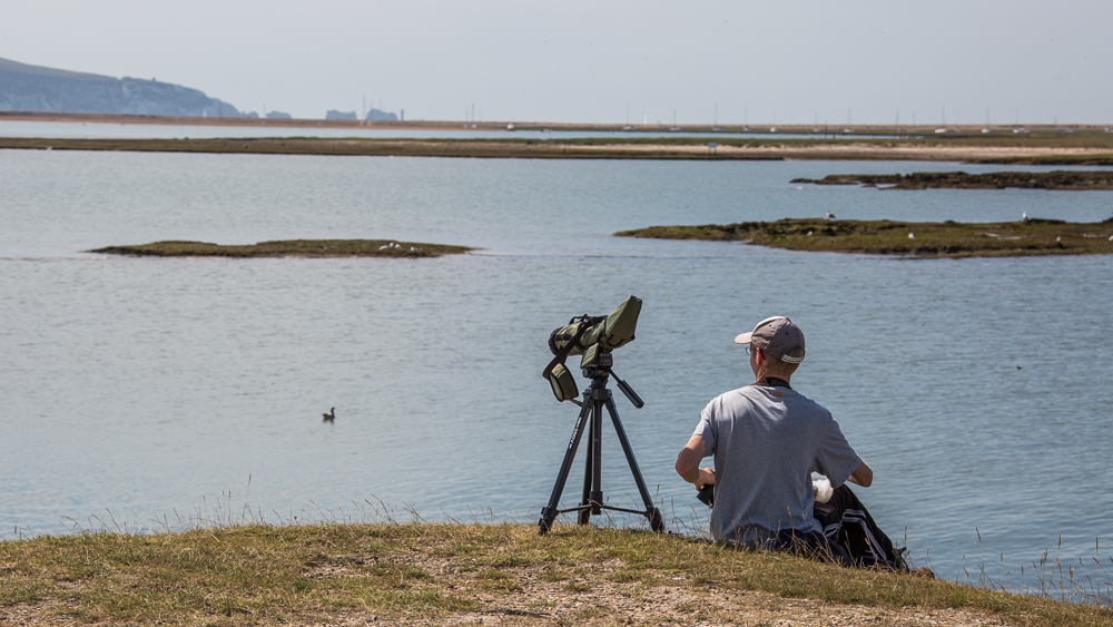 Birdwatching on the Lymington to Keyhaven coastal path