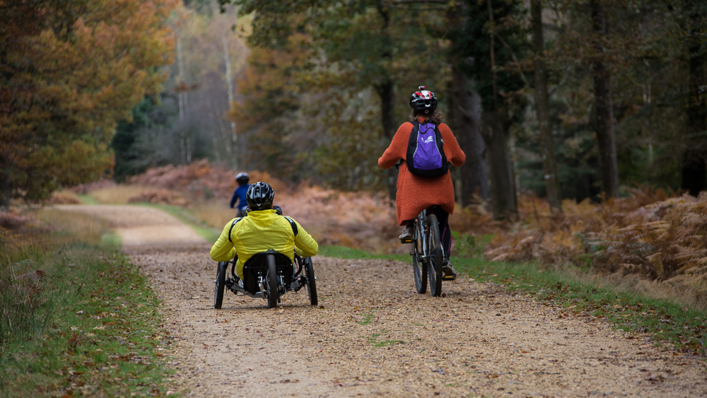 Cycling route near Ladycross Estate, Brockenhurst