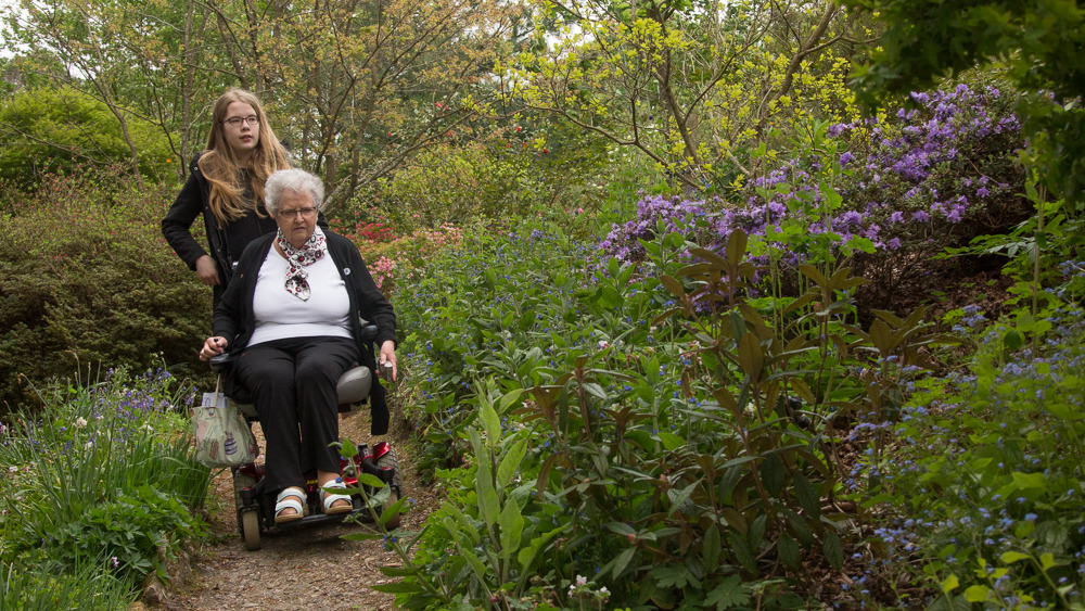 Furzey Gardens in summer