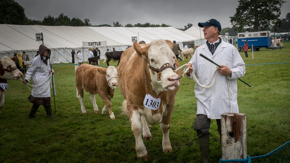 Romsey Show in September