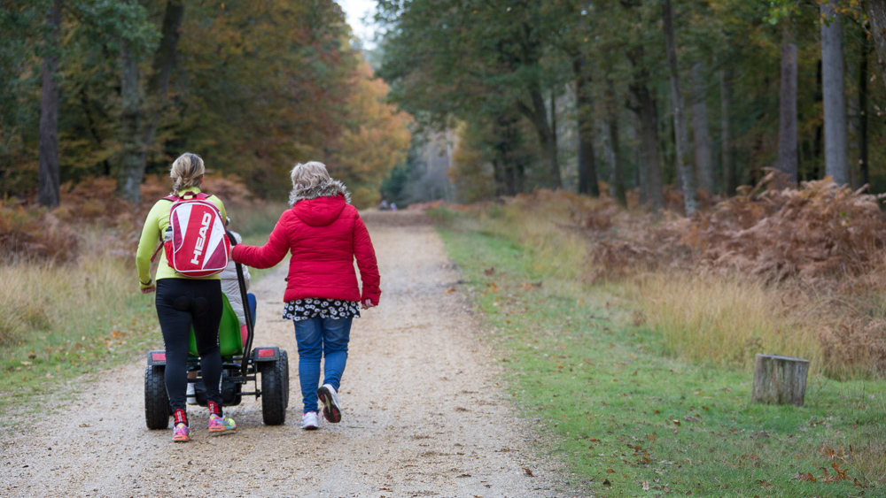 Autumn forest walk from Standing Hat car park