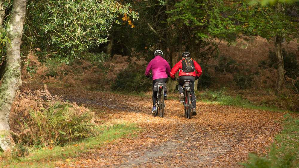 Autumn bike ride near Highland Water