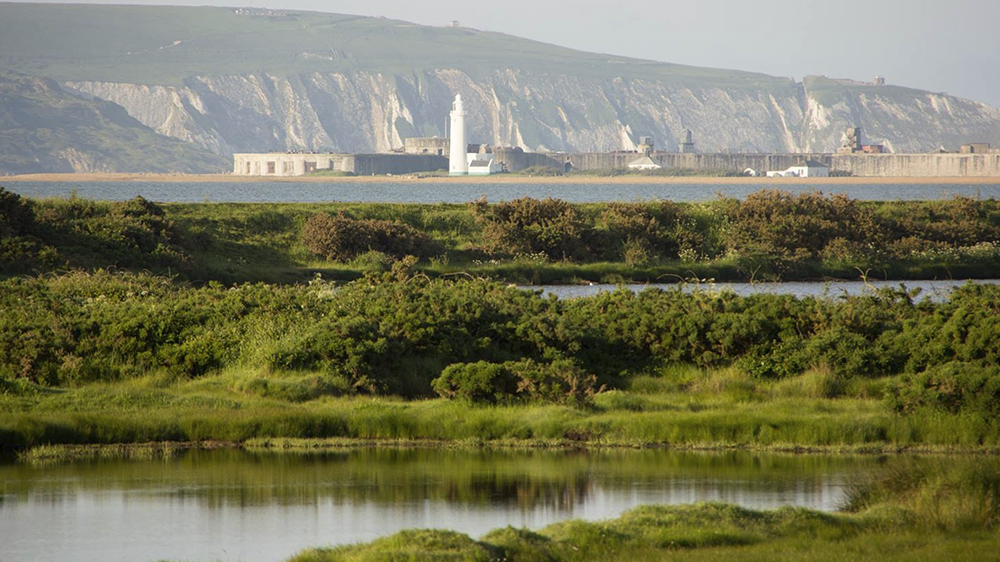 Coastal path near the cottages with views towards the Solent
